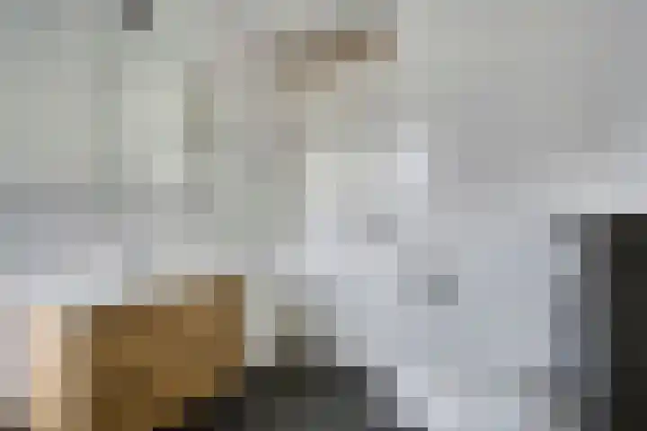 Cellostraat 10 Eindhoven thumbnail 31
