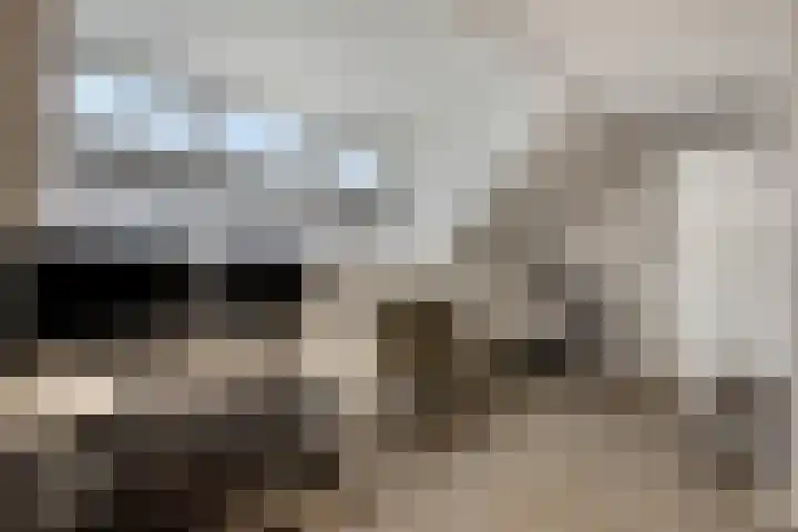 Cellostraat 10 Eindhoven thumbnail 34