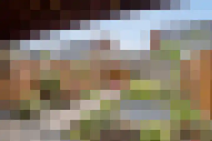 Cellostraat 10 Eindhoven thumbnail 38