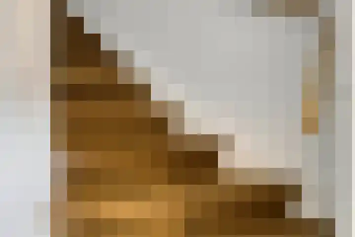 Cellostraat 10 Eindhoven thumbnail 8
