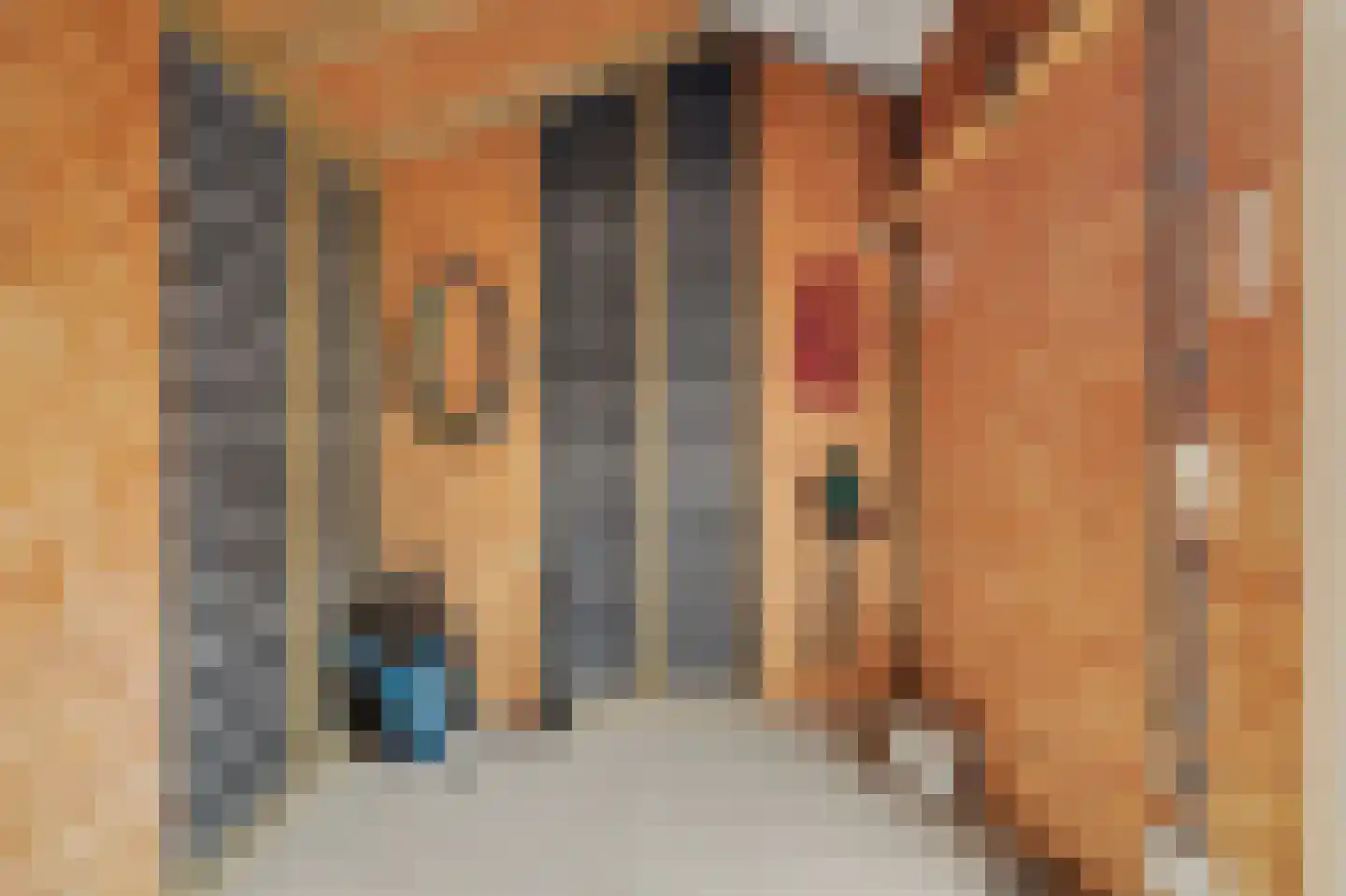 Cellostraat 10 Goes thumbnail 42