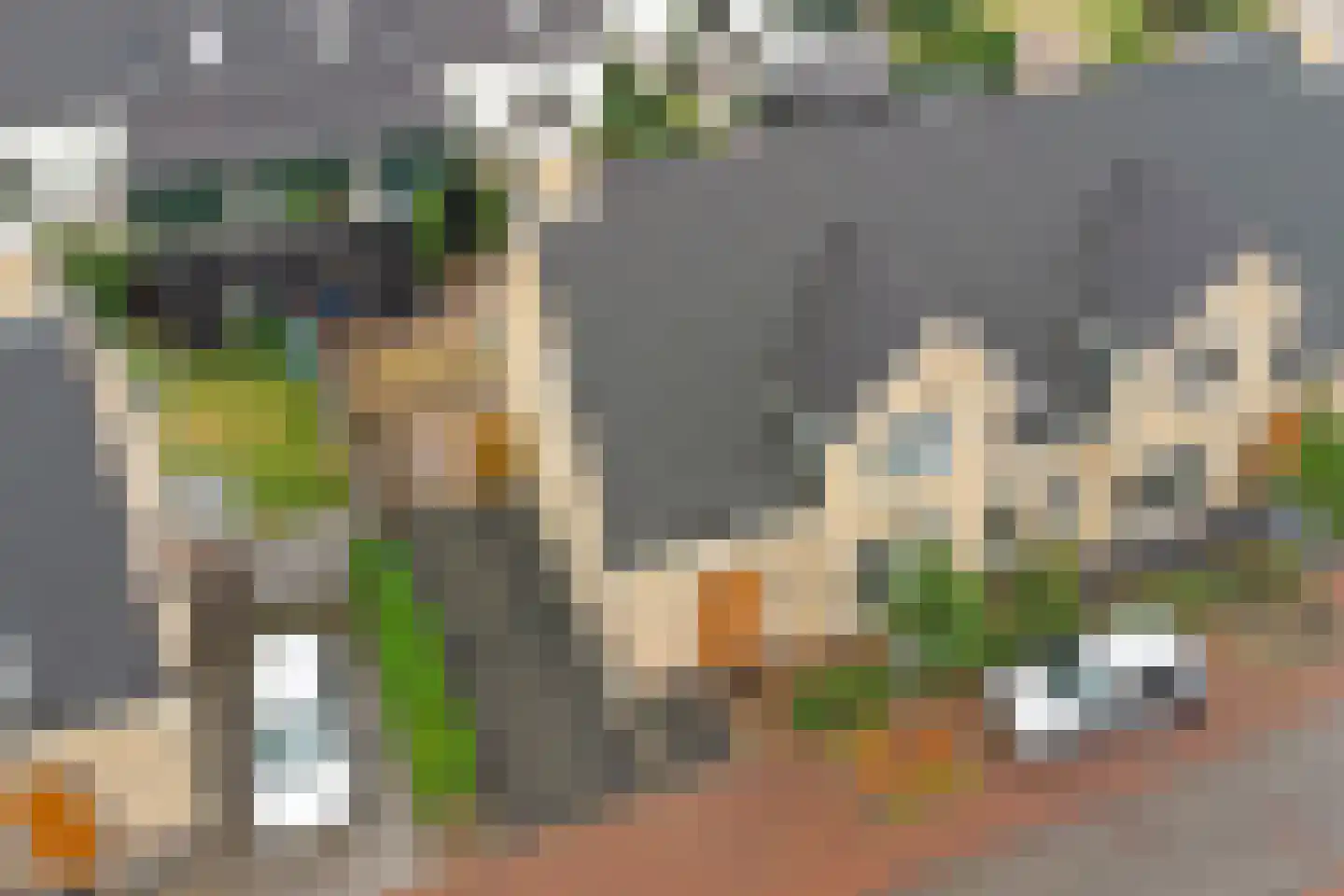 Cellostraat 10 Goes thumbnail 52