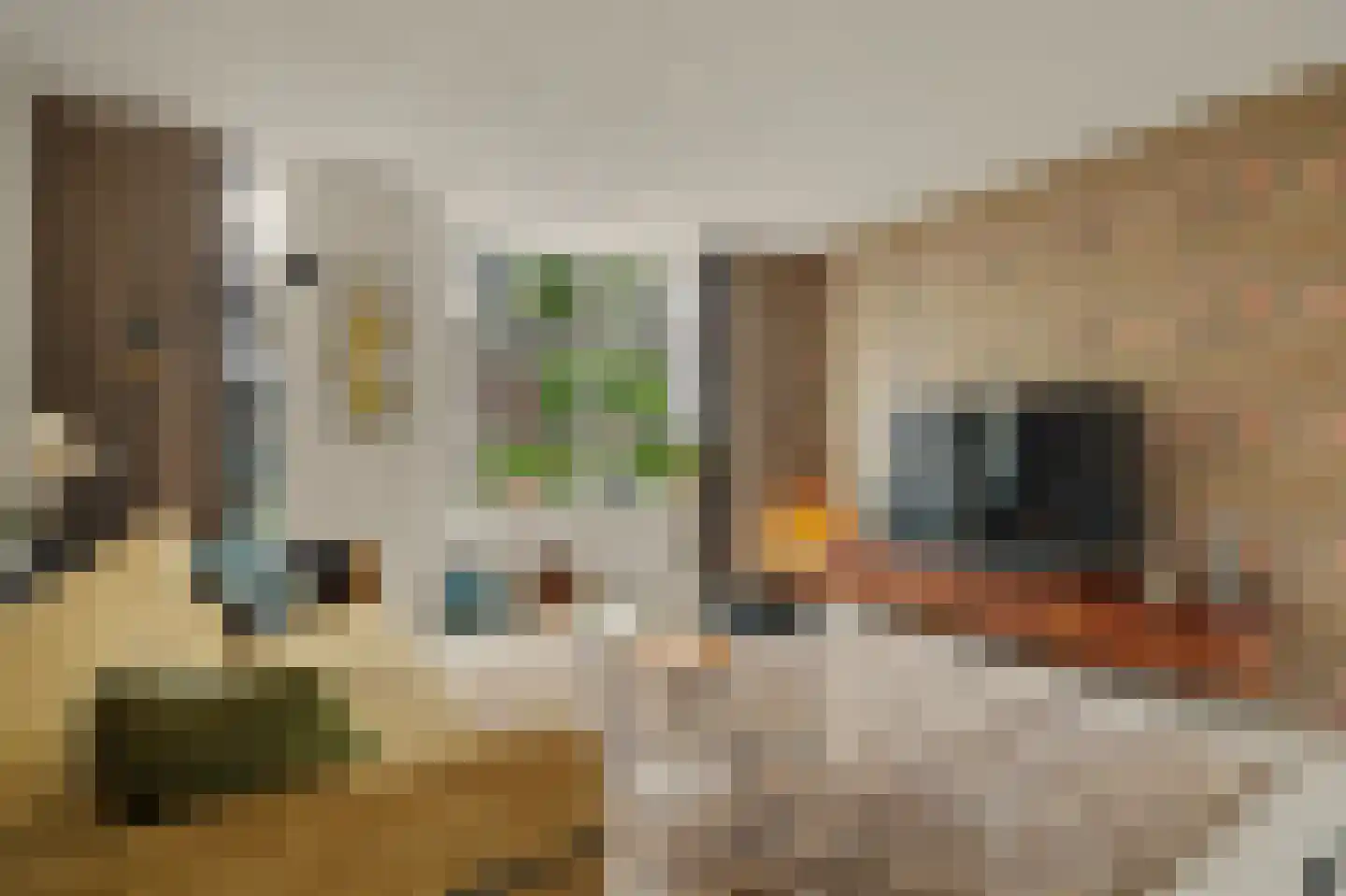 Cellostraat 10 Goes thumbnail 9