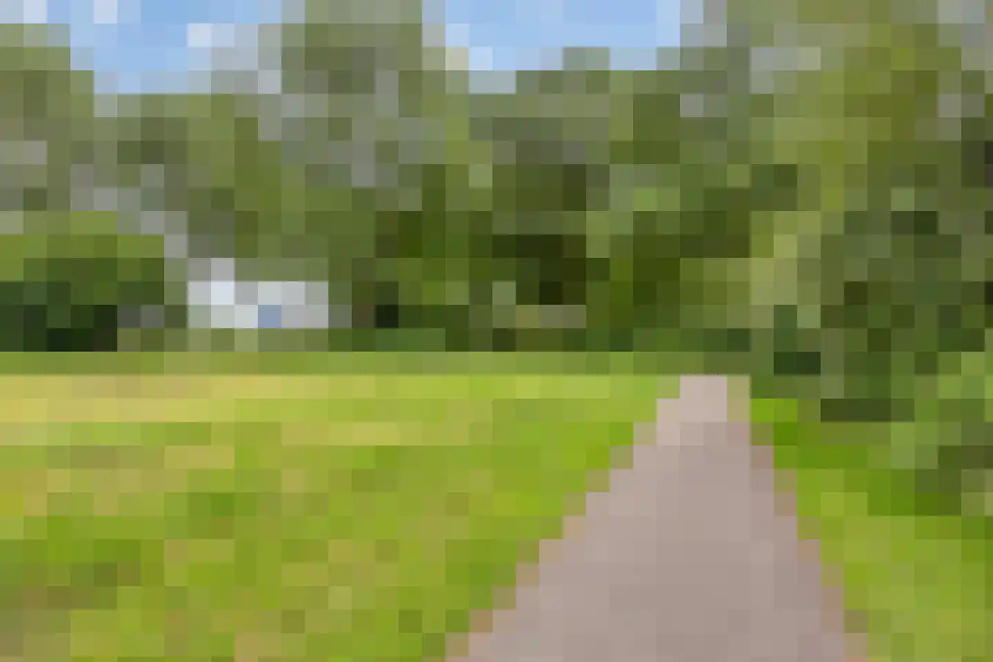 Cellostraat 105 Uden thumbnail 43