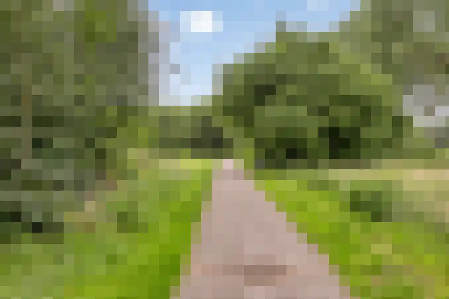 Cellostraat 105 Uden thumbnail 45