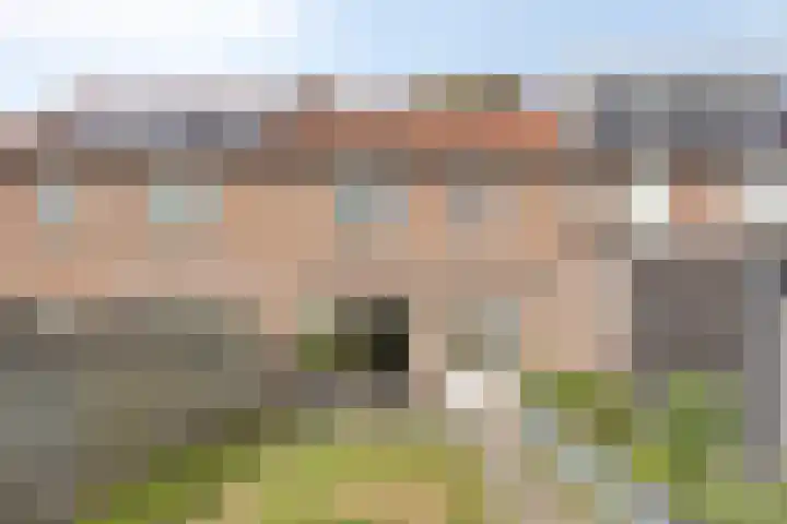 Cellostraat 109 Uden thumbnail 31