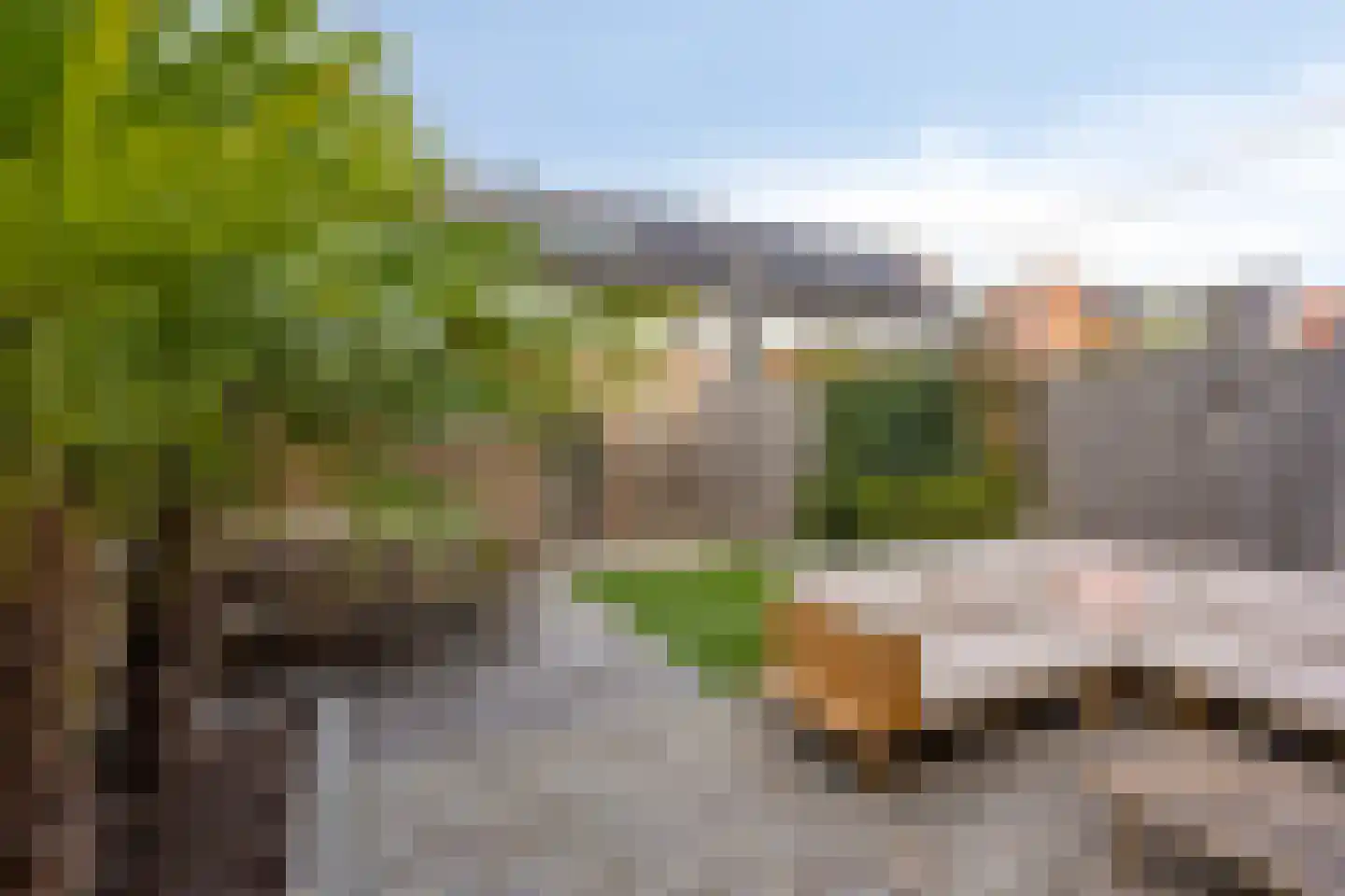 Cellostraat 25 Eindhoven thumbnail 29