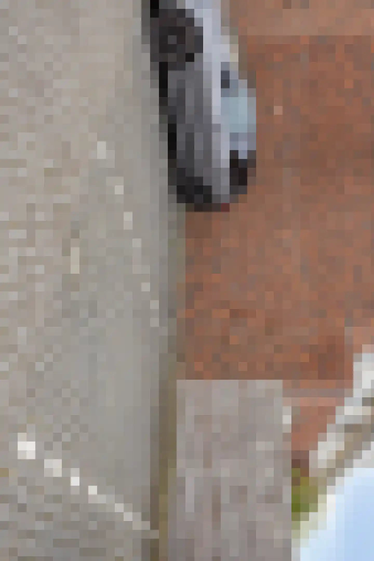 Cellostraat 25 Eindhoven thumbnail 37