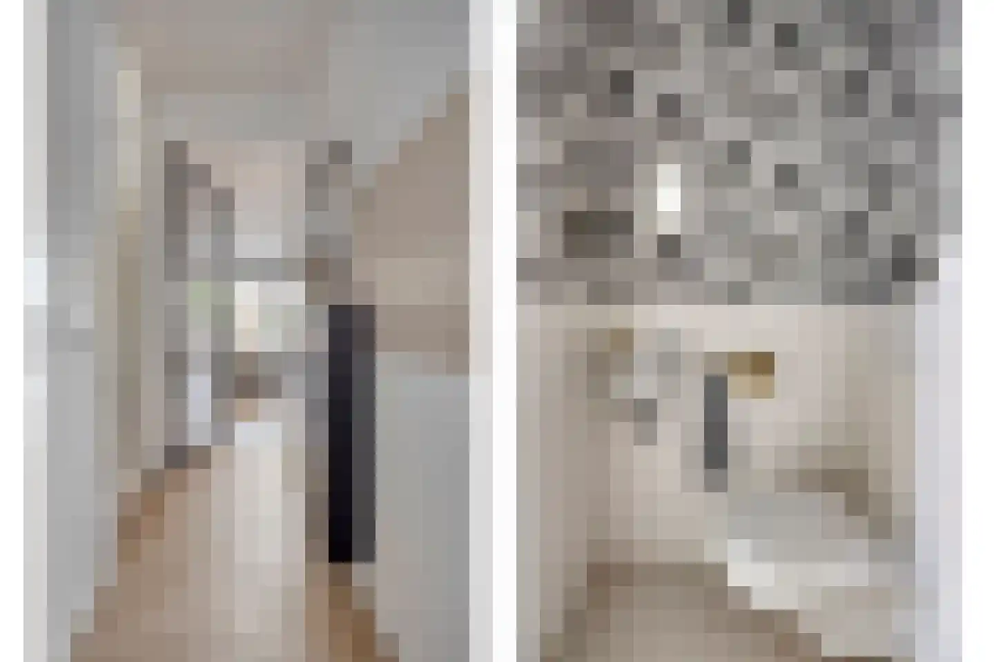 Cellostraat 25 Eindhoven thumbnail 8