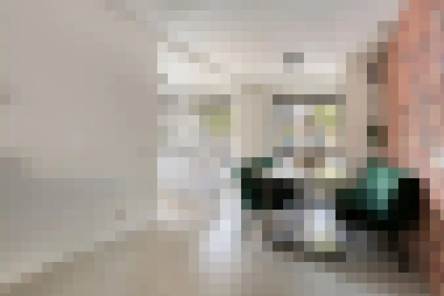 Cellostraat 28 Eindhoven thumbnail 17