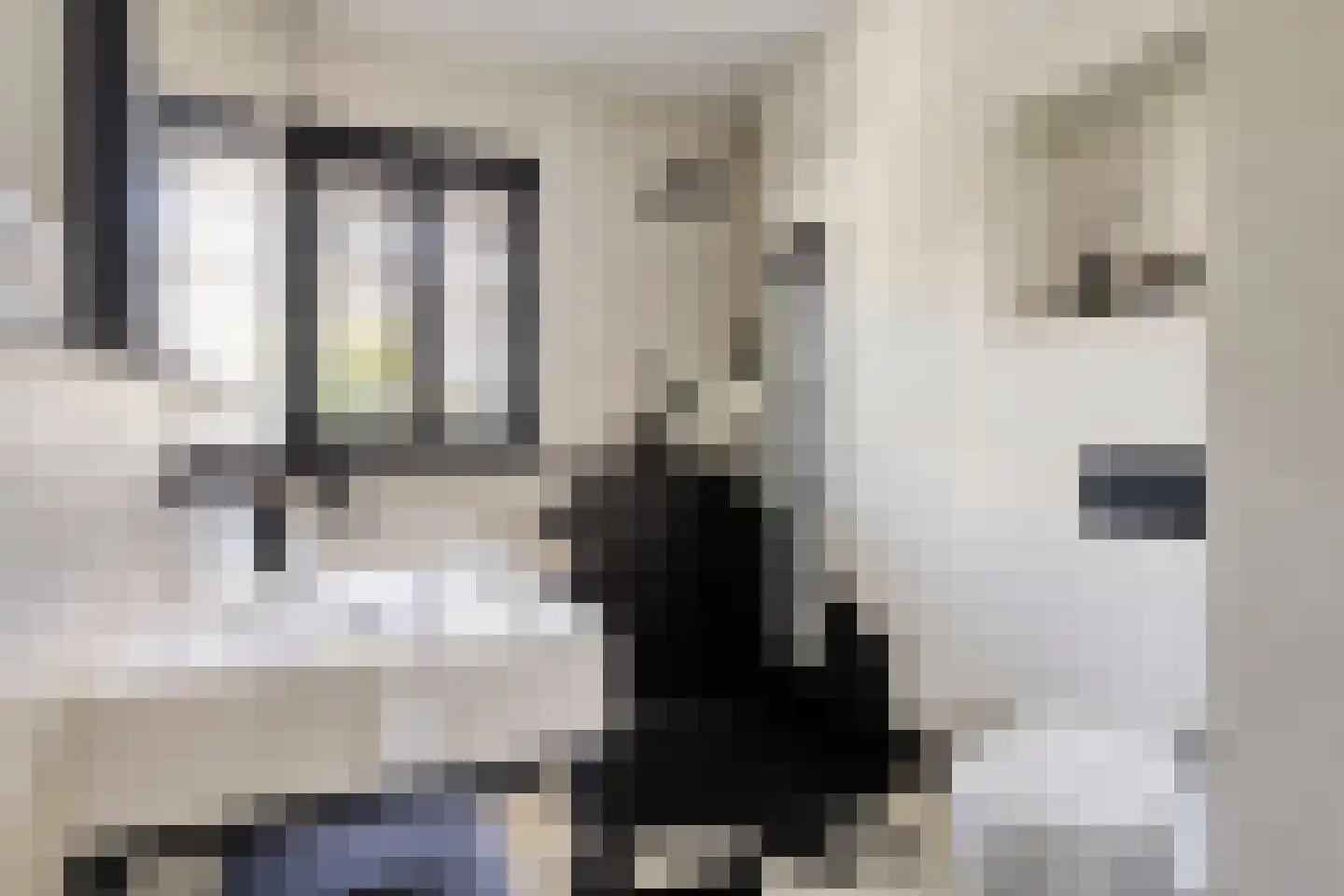 Cellostraat 28 Eindhoven thumbnail 4