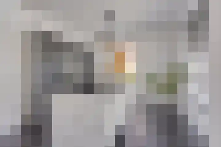 Cellostraat 33 Eindhoven thumbnail 11