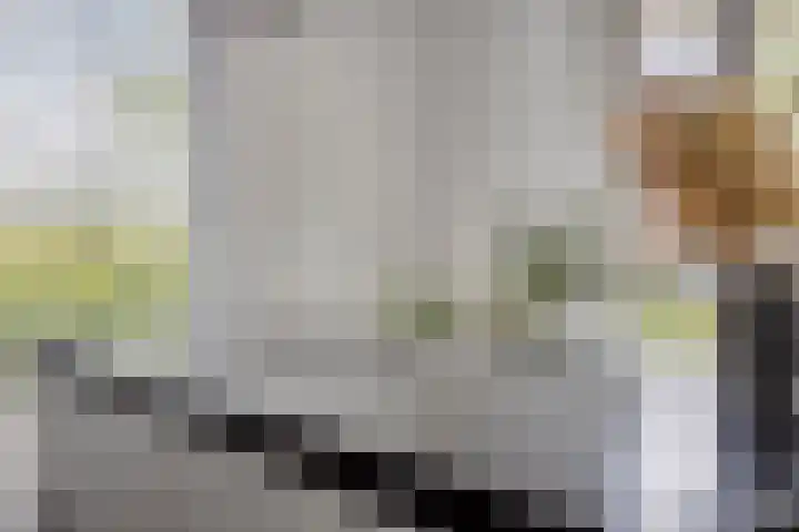 Cellostraat 33 Eindhoven thumbnail 15