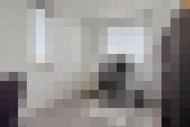 Cellostraat 33 Eindhoven thumbnail 28
