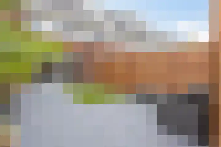Cellostraat 33 Eindhoven thumbnail 36