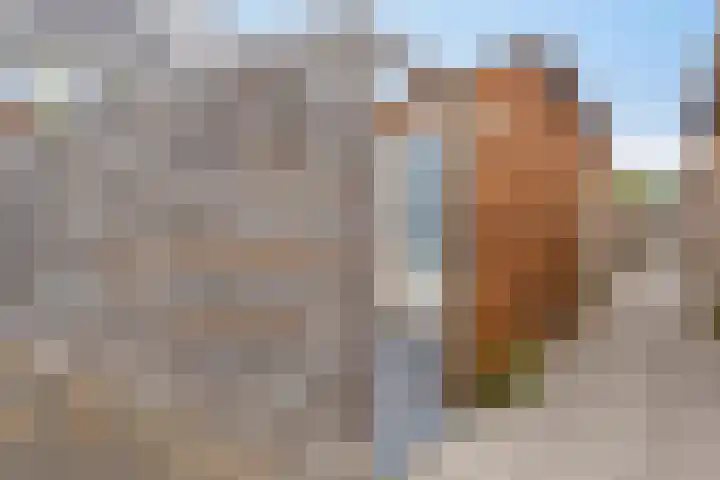 Cellostraat 33 Eindhoven thumbnail 39