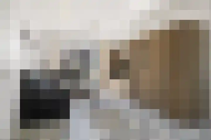 Cellostraat 4 Etten-Leur thumbnail 6