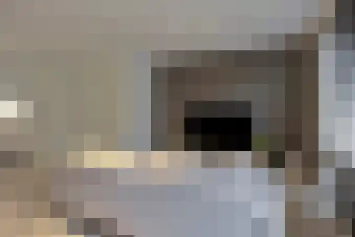 Cellostraat 43 Eindhoven thumbnail 10