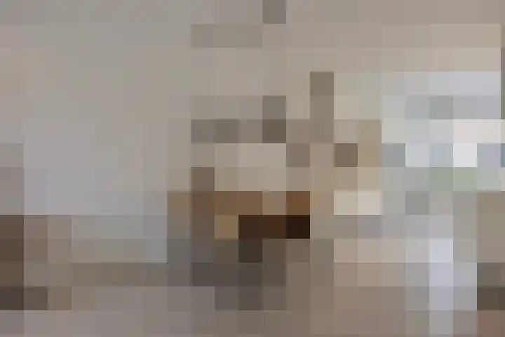 Cellostraat 43 Eindhoven thumbnail 11