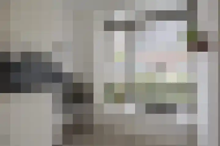 Cellostraat 43 Eindhoven thumbnail 15