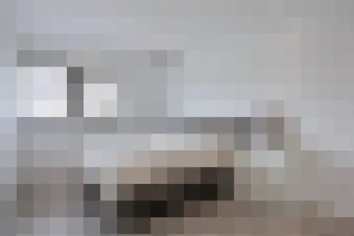 Cellostraat 43 Eindhoven thumbnail 18