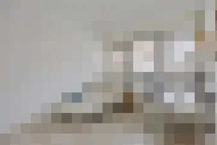 Cellostraat 43 Eindhoven thumbnail 20