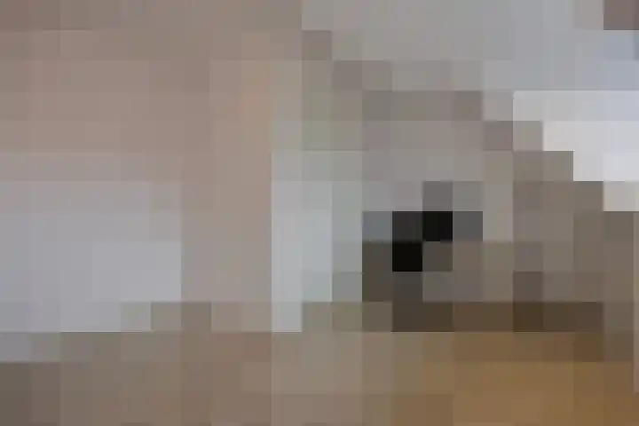 Cellostraat 43 Eindhoven thumbnail 29