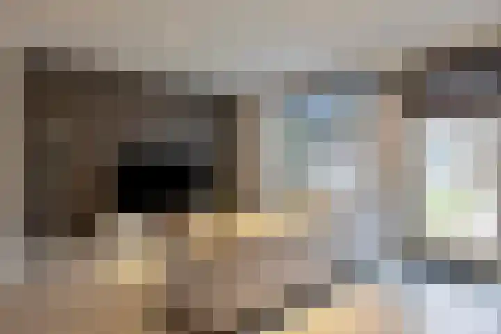 Cellostraat 43 Eindhoven thumbnail 9