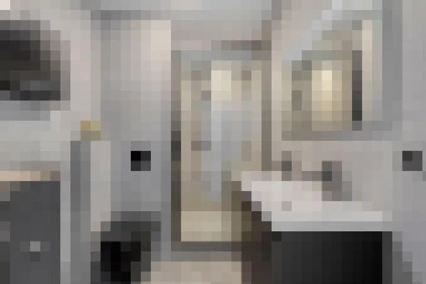 Cellostraat 5 Etten-Leur thumbnail 23