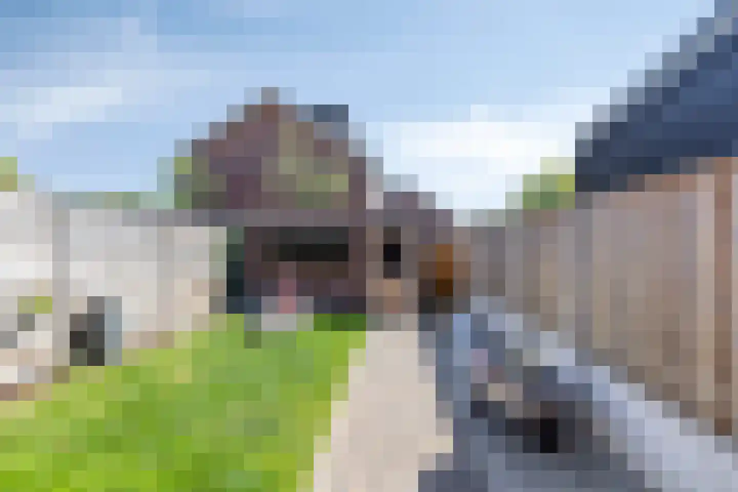 Cellostraat 5 Etten-Leur thumbnail 31