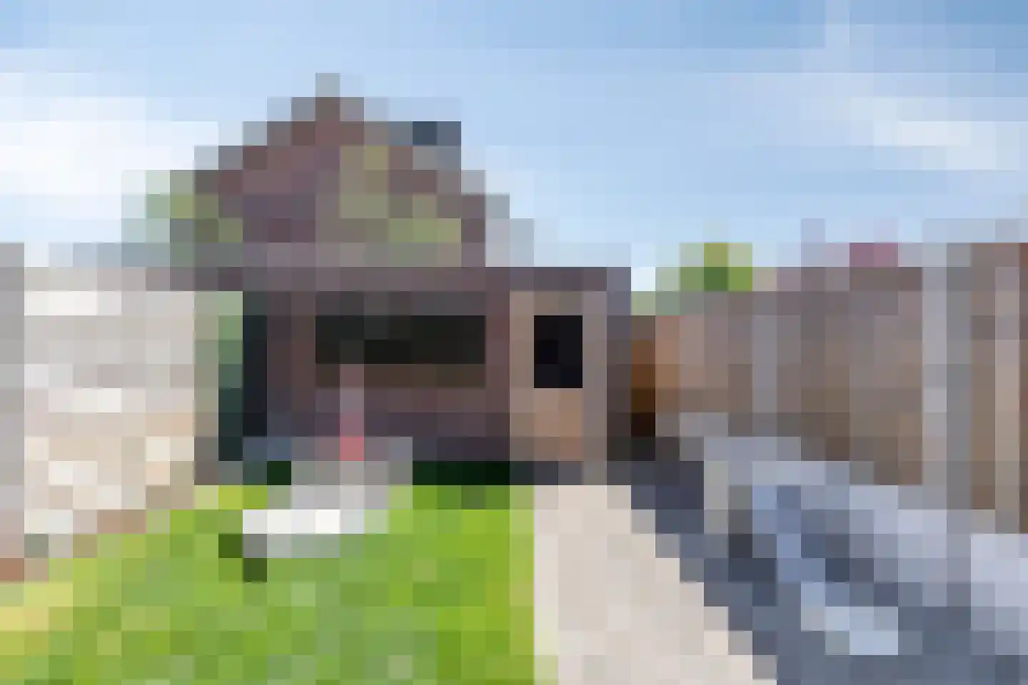 Cellostraat 5 Etten-Leur thumbnail 32
