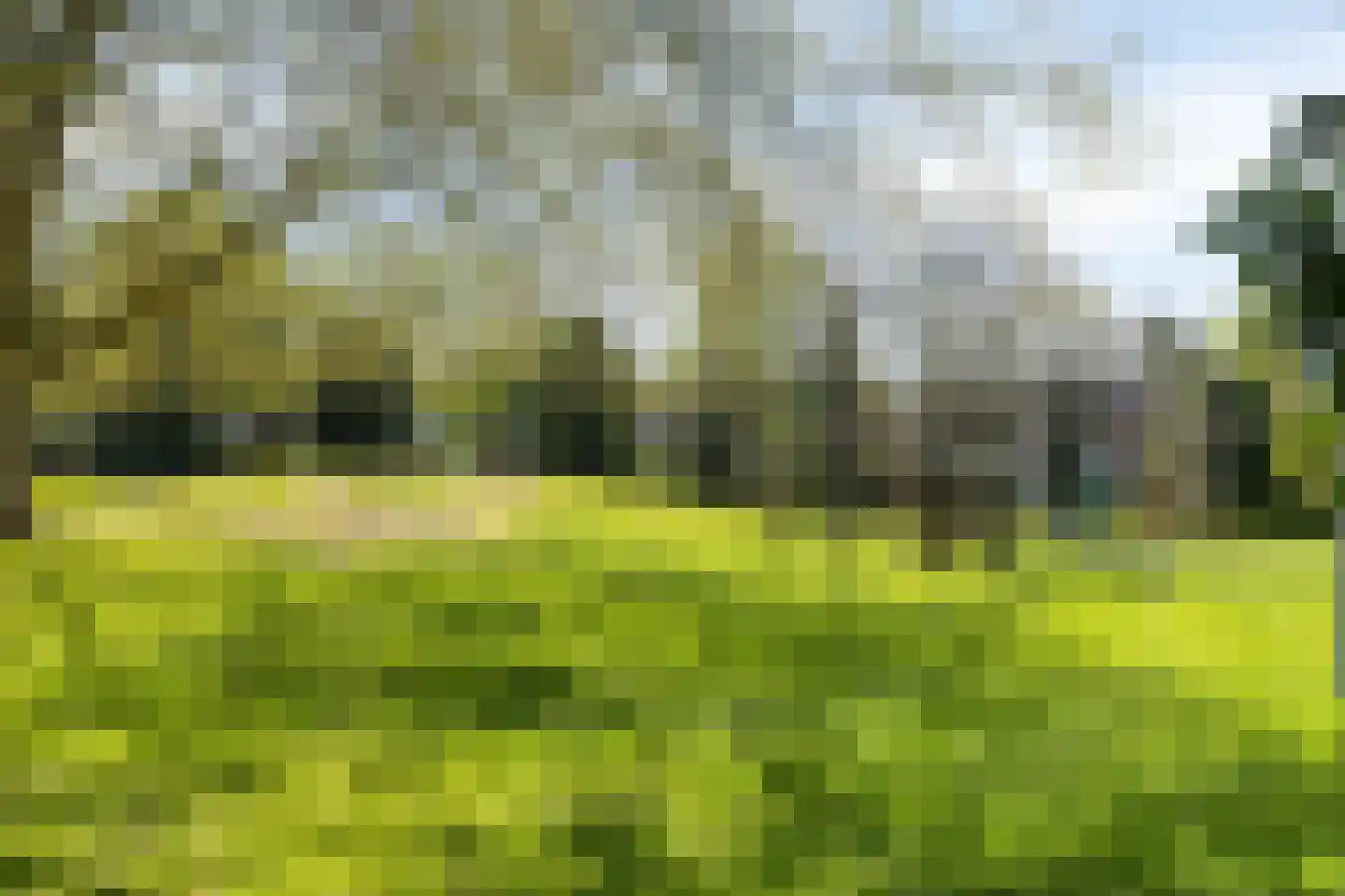 Cellostraat 5 Etten-Leur thumbnail 39