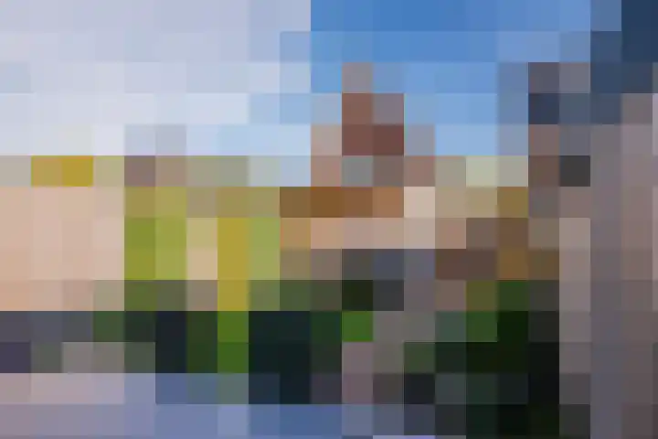 Cellostraat 55 Eindhoven thumbnail 34