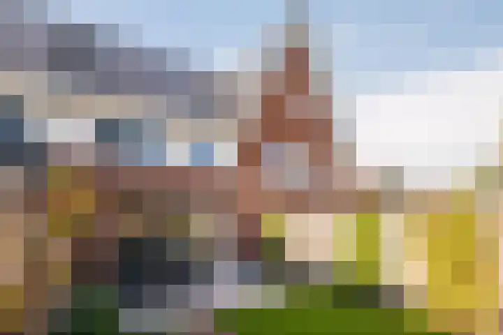 Cellostraat 55 Eindhoven thumbnail 36
