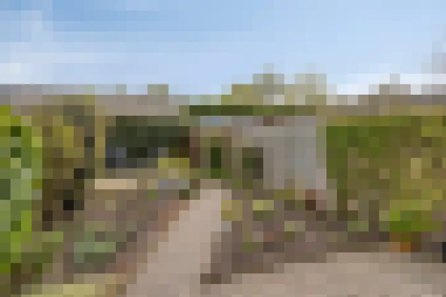 Cellostraat 60 Uden thumbnail 30