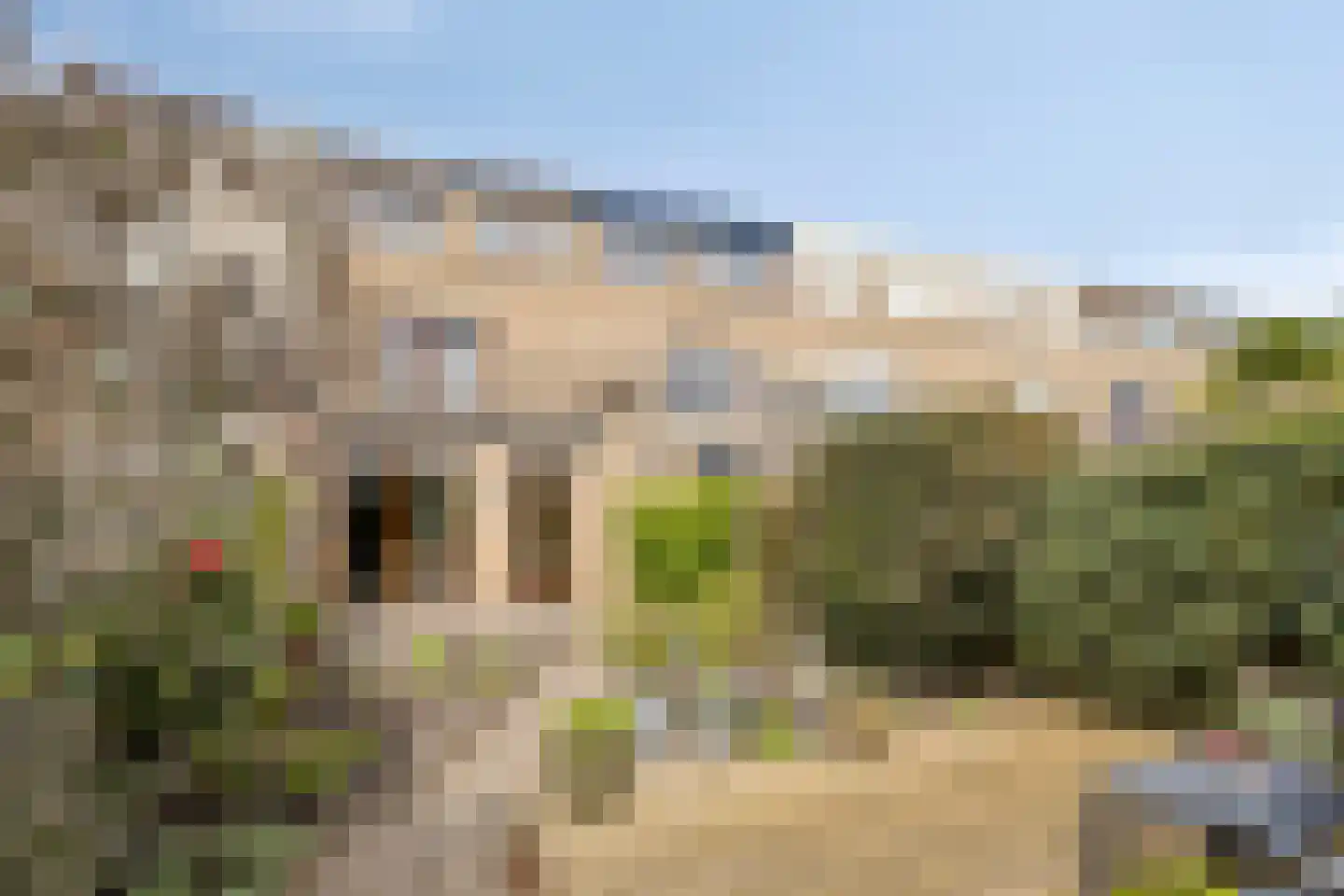 Cellostraat 60 Uden thumbnail 33