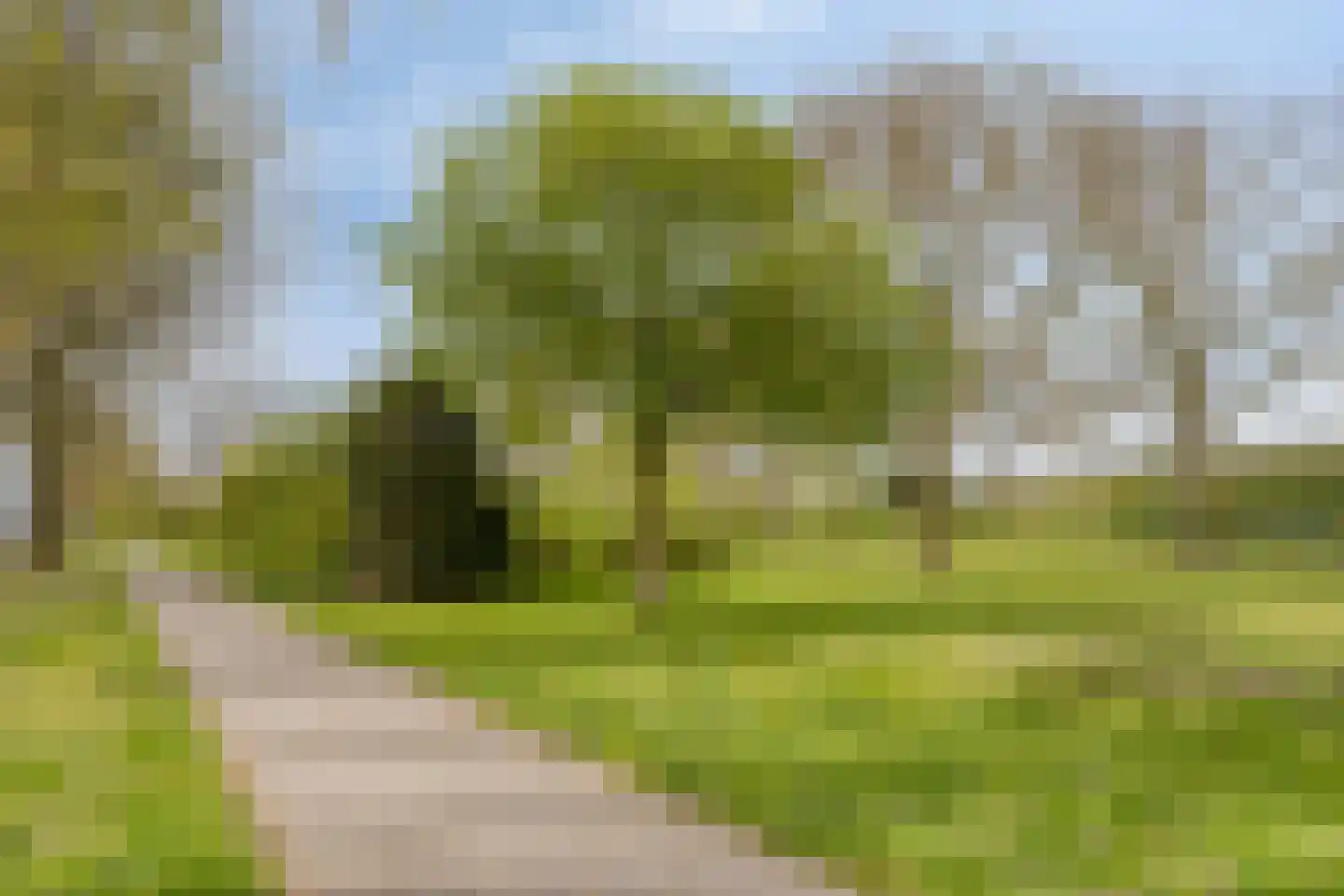 Cellostraat 60 Uden thumbnail 36