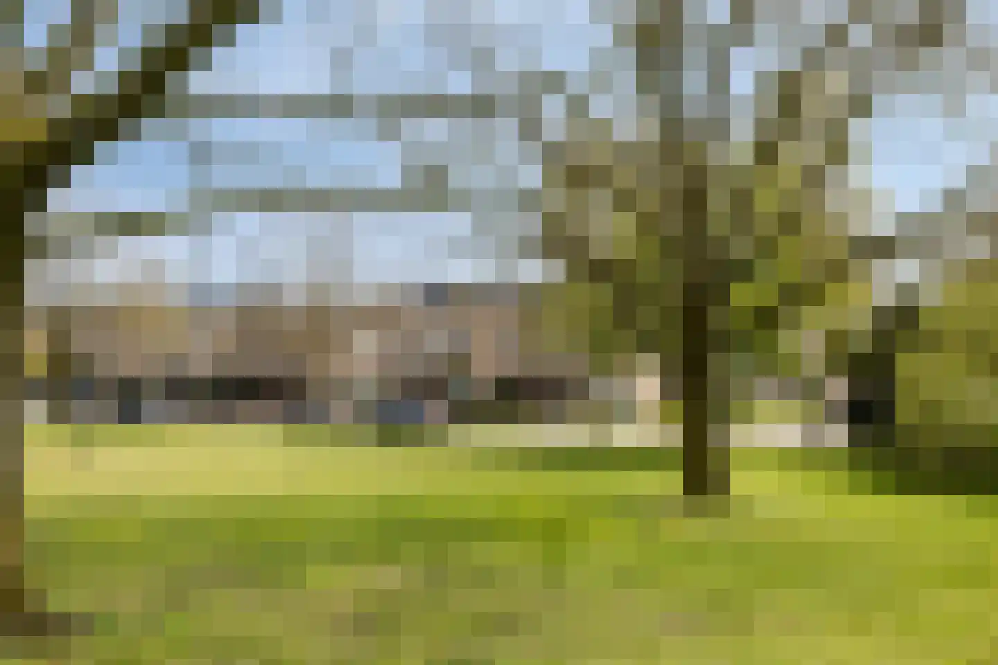 Cellostraat 60 Uden thumbnail 37