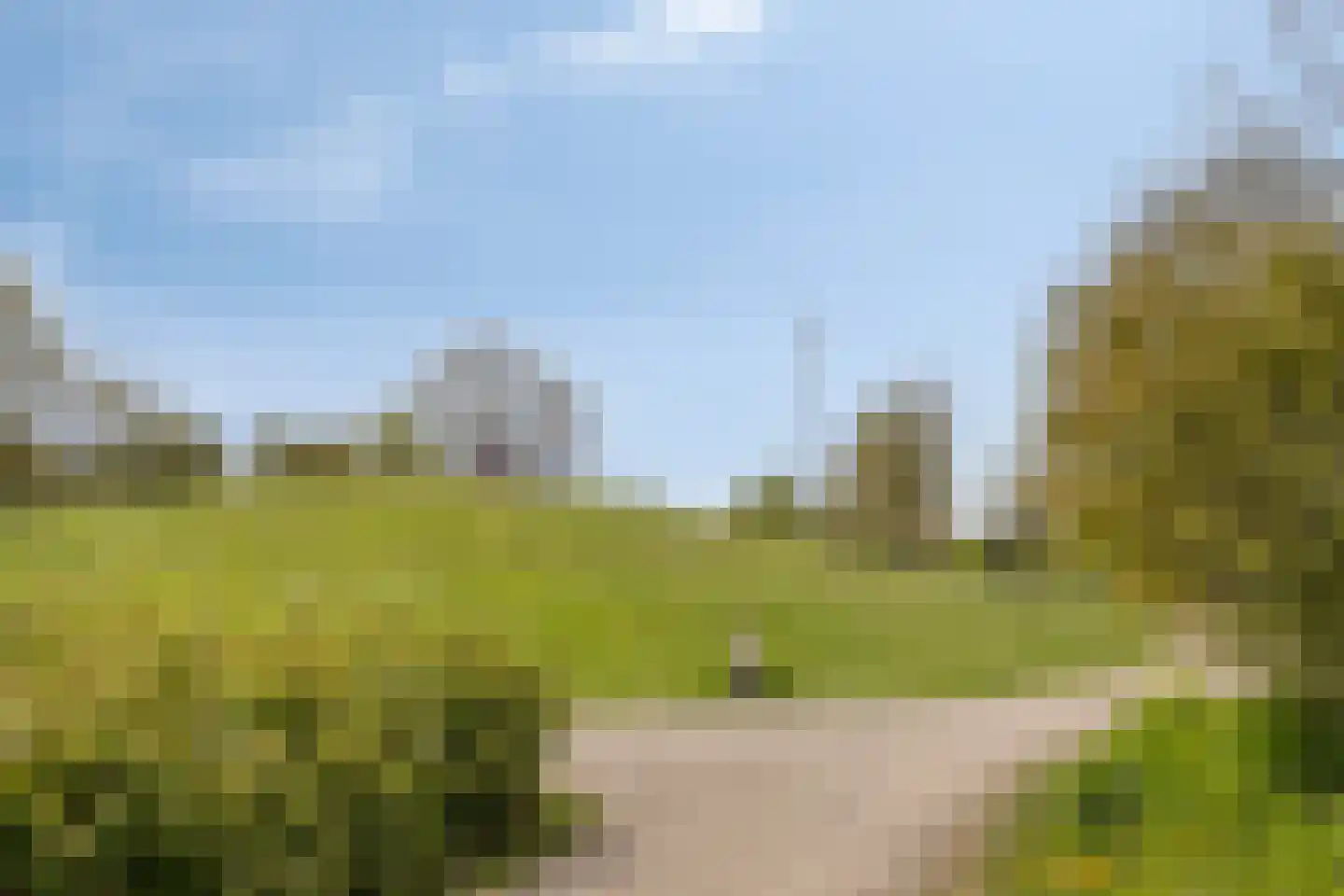 Cellostraat 60 Uden thumbnail 38