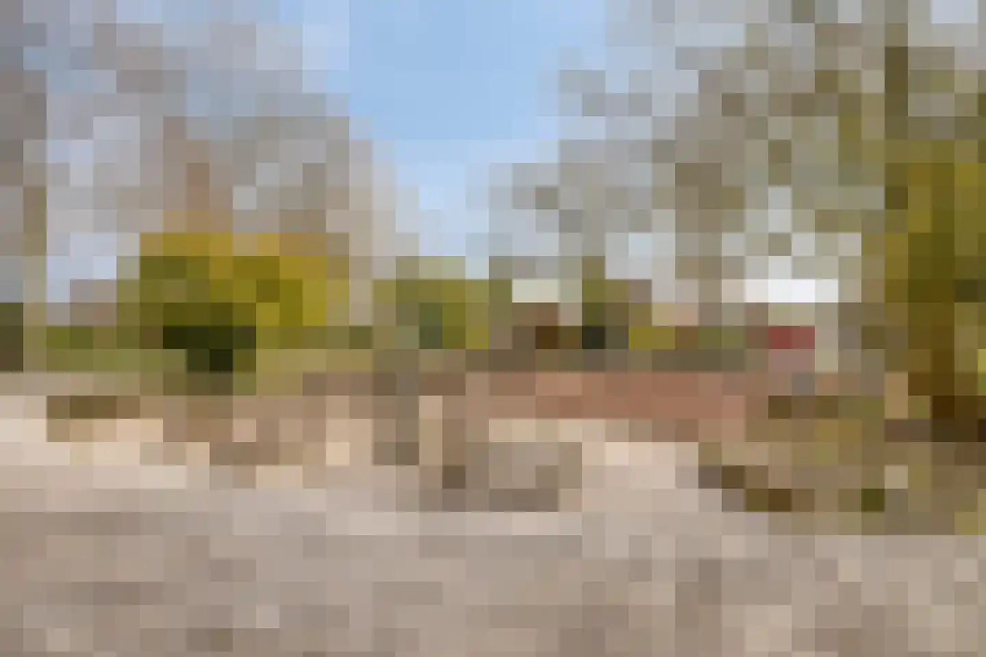 Cellostraat 60 Uden thumbnail 40