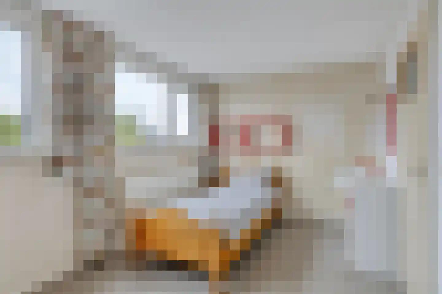 Cellostraat 61 Uden thumbnail 29