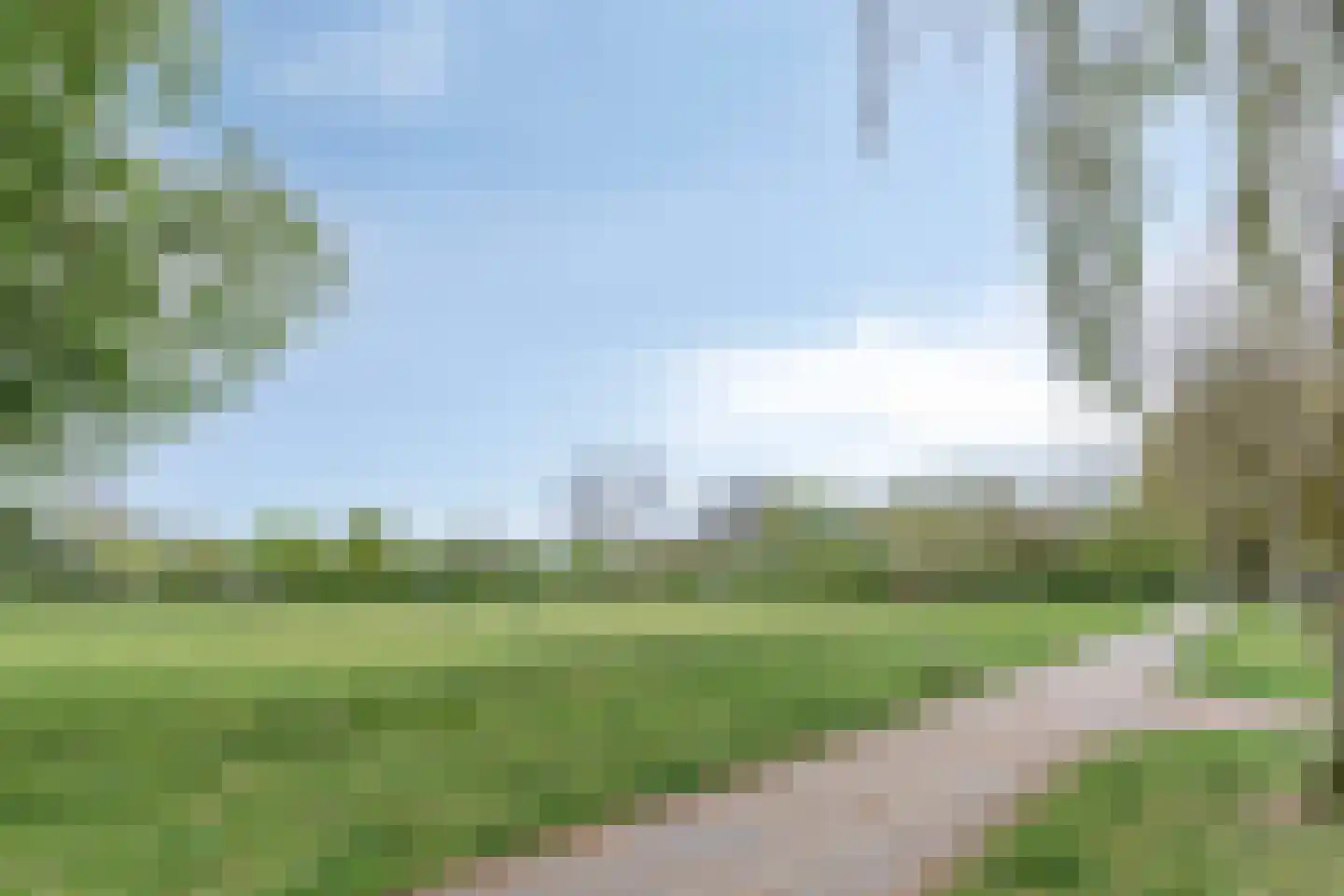 Cellostraat 61 Uden thumbnail 41