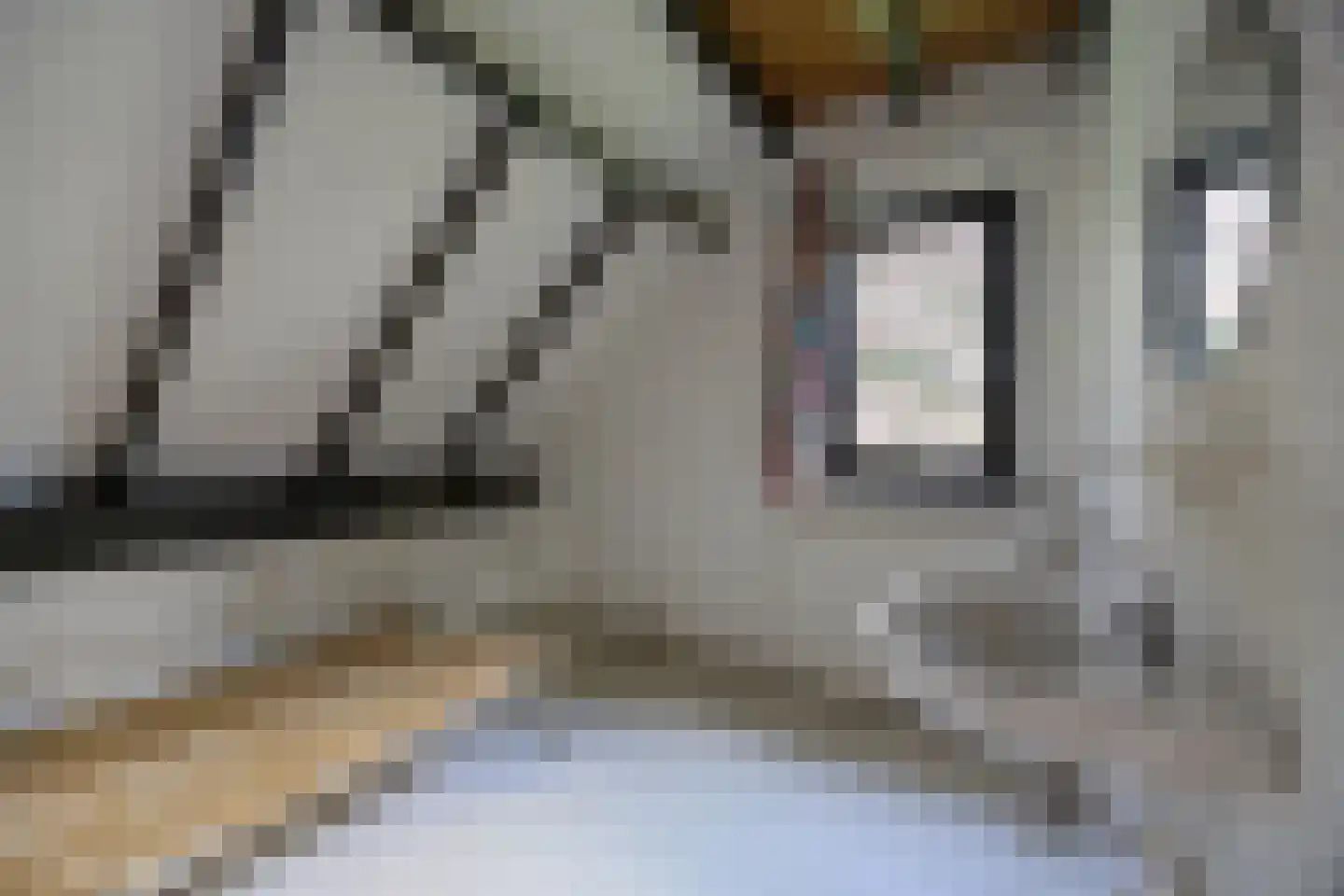 Cellostraat 64 Etten-Leur thumbnail 28