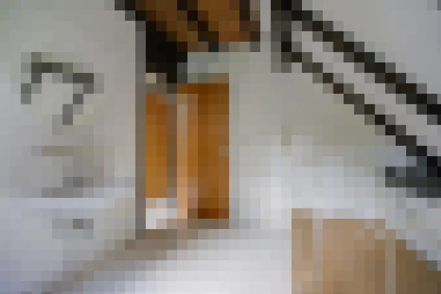 Cellostraat 64 Etten-Leur thumbnail 29