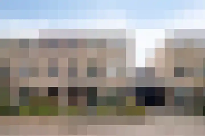 Cellostraat 69 Uden thumbnail 36