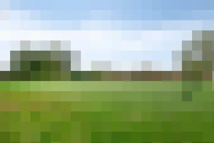 Cellostraat 69 Uden thumbnail 39