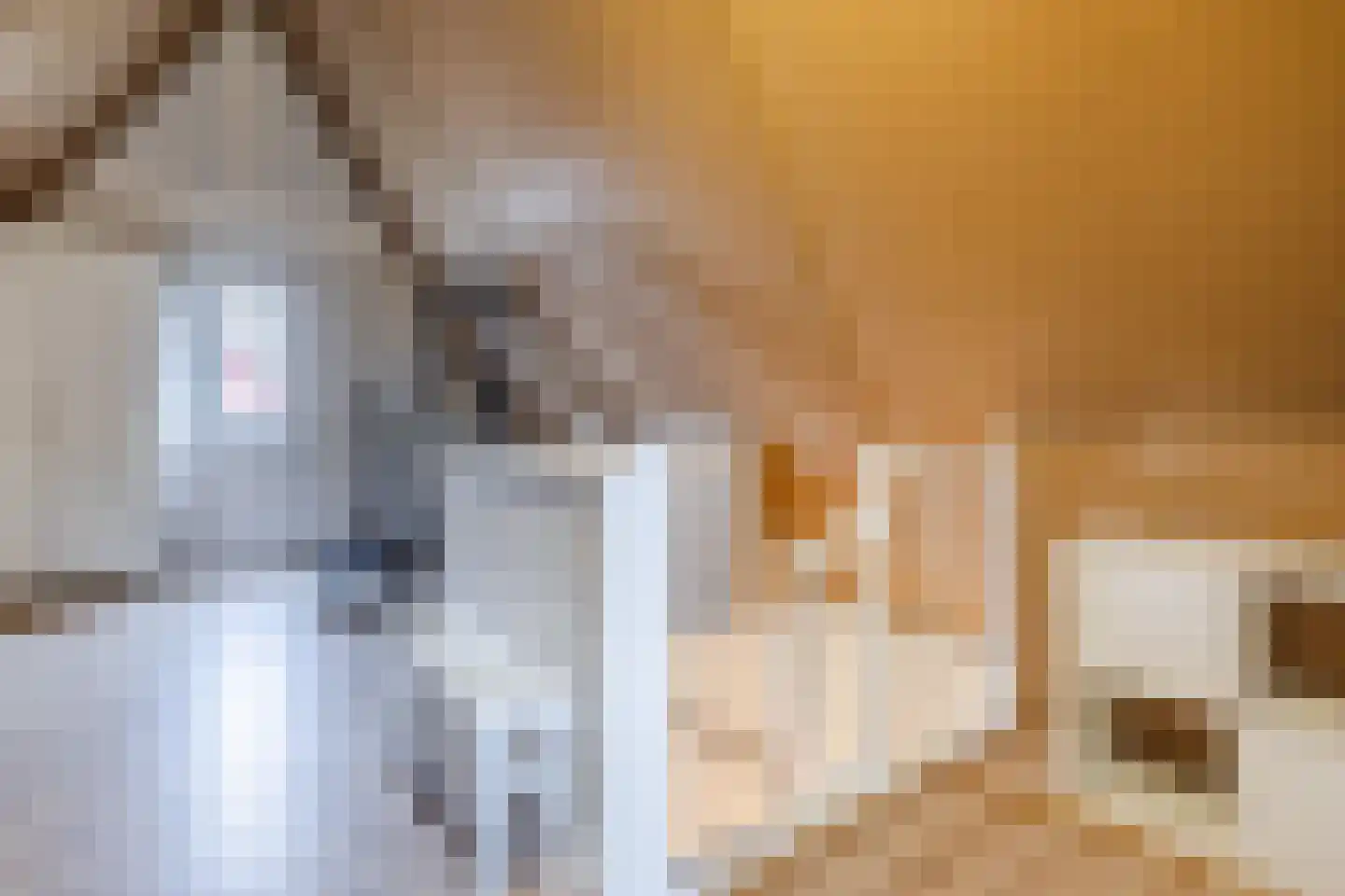 Cellostraat 71 Eindhoven thumbnail 33