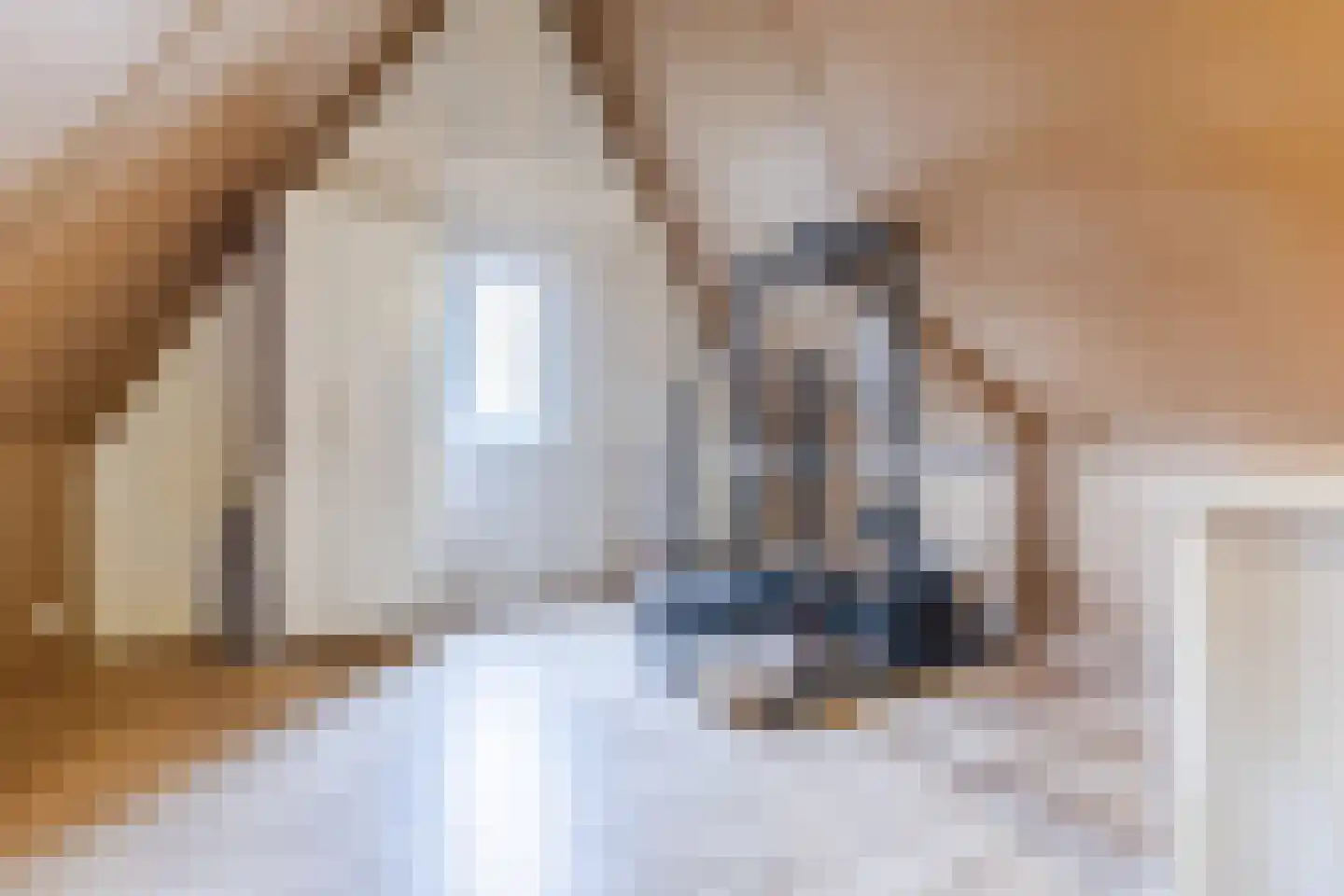 Cellostraat 71 Eindhoven thumbnail 34