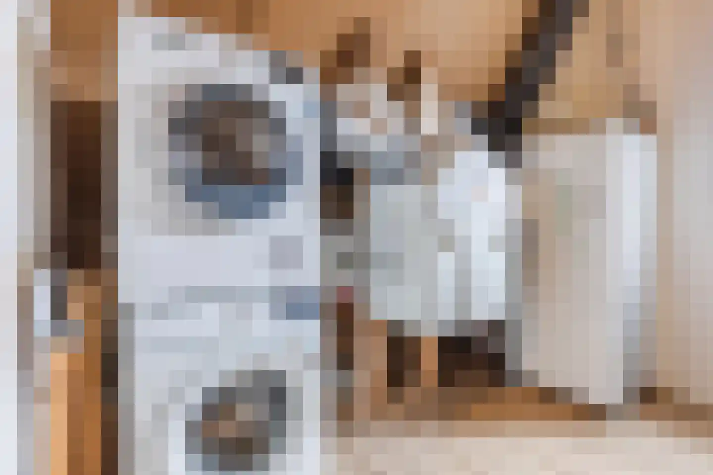 Cellostraat 71 Eindhoven thumbnail 35
