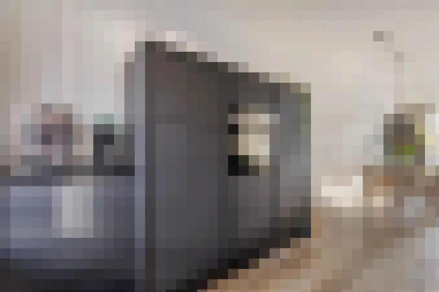 Cellostraat 87 Eindhoven thumbnail 15